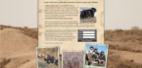Website Development for Majestic Ranch & Hunting Service