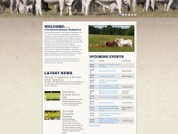 Web Design and Development for ABBA