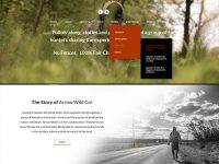 Arrow Wild Co – Web Design and Development